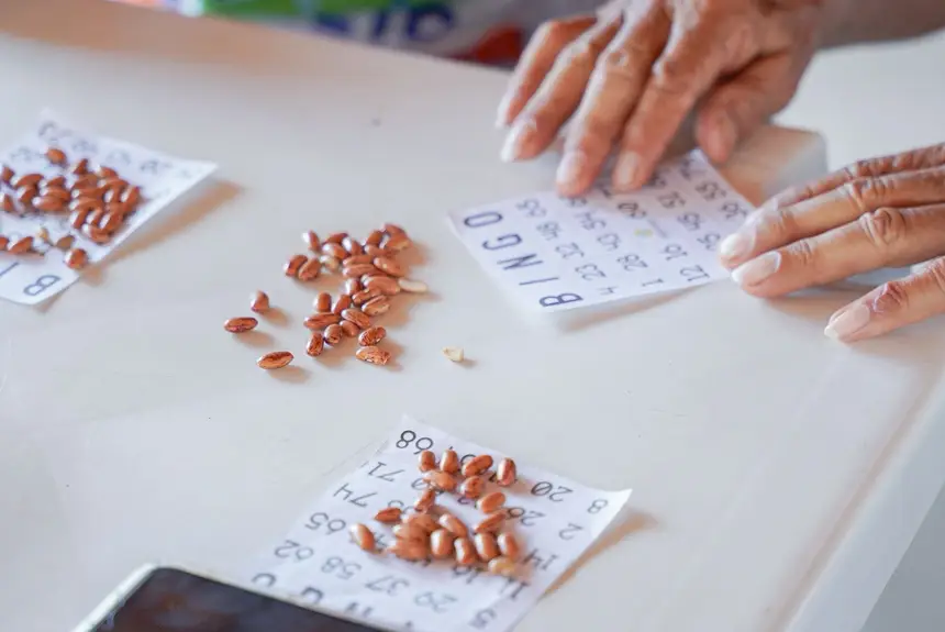  <div class='credito_fotos'>Foto: Lidiane Lima/GEA   |   <a href='/midias/2025/originais/20251030133434-GF00016630-F00208231.webp' download><i class='fa-solid fa-download'></i> Download</a></div>