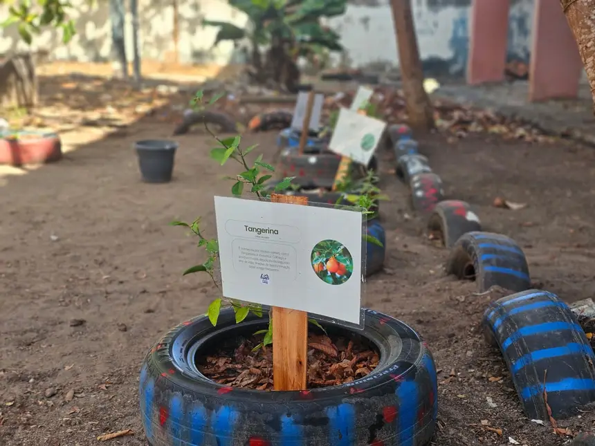 Crédito: Breno Pantoja/Seed