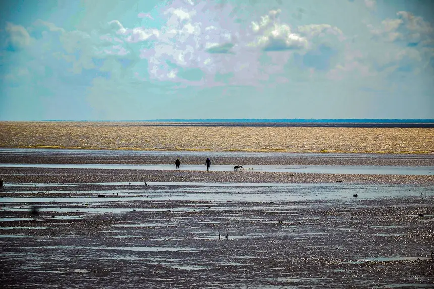  <div class='credito_fotos'>Foto: Eliseu Alves/Seed   |   <a href='/midias/2025/originais/20251106143102-GF00016650-F00208652.webp' download><i class='fa-solid fa-download'></i> Download</a></div>