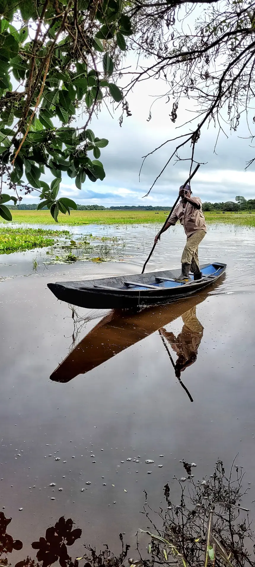  <div class='credito_fotos'>Foto: Jorge Júnior/GEA   |   <a href='/midias/2025/originais/20251106143302-GF00016651-F00208654.webp' download><i class='fa-solid fa-download'></i> Download</a></div>