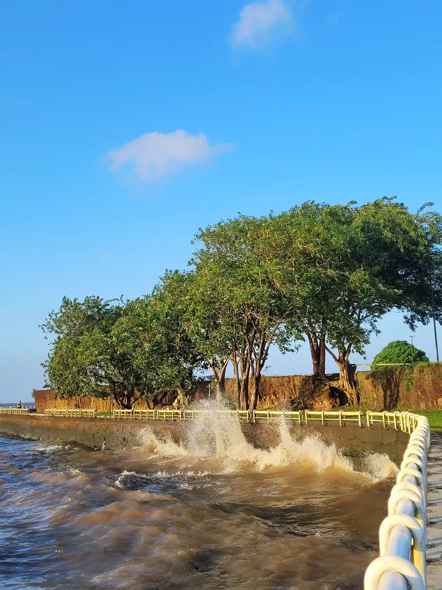  <div class='credito_fotos'>Foto: Jorge Júnior/GEA   |   <a href='/midias/2025/originais/20251106143311-GF00016651-F00208658.webp' download><i class='fa-solid fa-download'></i> Download</a></div>