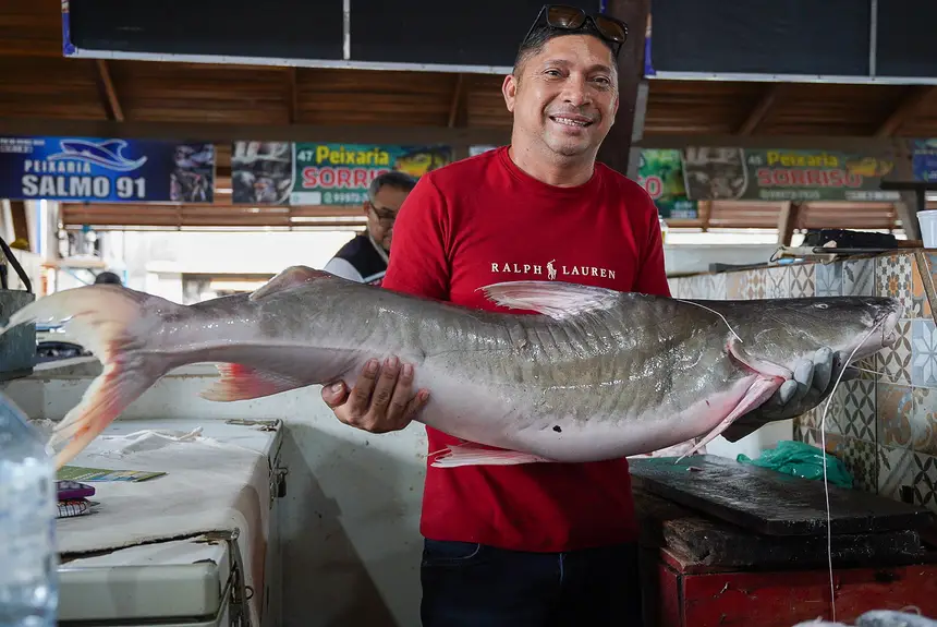  <div class='credito_fotos'>Foto: Lidiane Lima/GEA   |   <a href='/midias/2025/originais/20251114112348-GF00016686-F00209415.webp' download><i class='fa-solid fa-download'></i> Download</a></div>