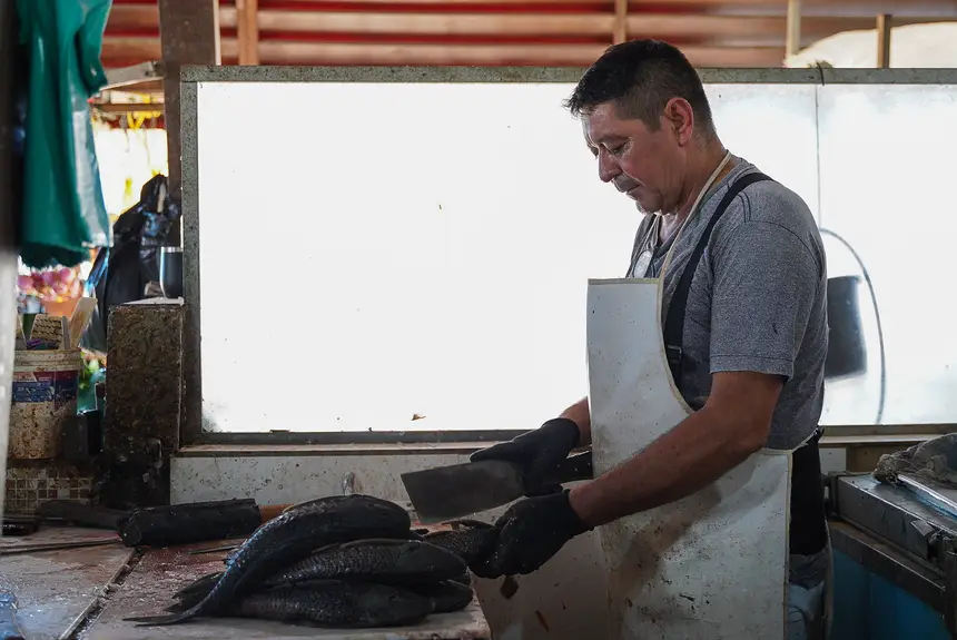  <div class='credito_fotos'>Foto: Lidiane Lima/GEA   |   <a href='/midias/2025/originais/20251114112354-GF00016686-F00209421.webp' download><i class='fa-solid fa-download'></i> Download</a></div>