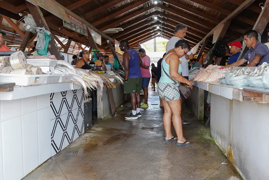  <div class='credito_fotos'>Foto: Lidiane Lima/GEA   |   <a href='/midias/2025/originais/20251114112408-GF00016686-F00209433.webp' download><i class='fa-solid fa-download'></i> Download</a></div>