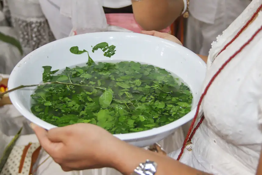  <div class='credito_fotos'>Foto: Adriano Monteiro/GEA   |   <a href='/midias/2025/originais/20251127101836-GF00016736-F00211049.webp' download><i class='fa-solid fa-download'></i> Download</a></div>