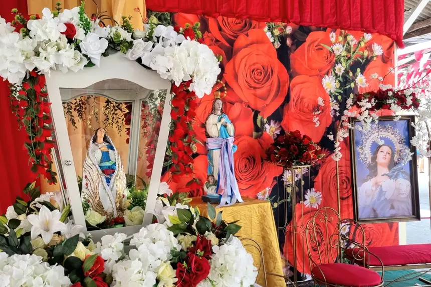  <div class='credito_fotos'>Foto: Márcia do Carmo/GEA   |   <a href='/midias/2025/originais/20251209101518-GF00016762-F00211930.webp' download><i class='fa-solid fa-download'></i> Download</a></div>