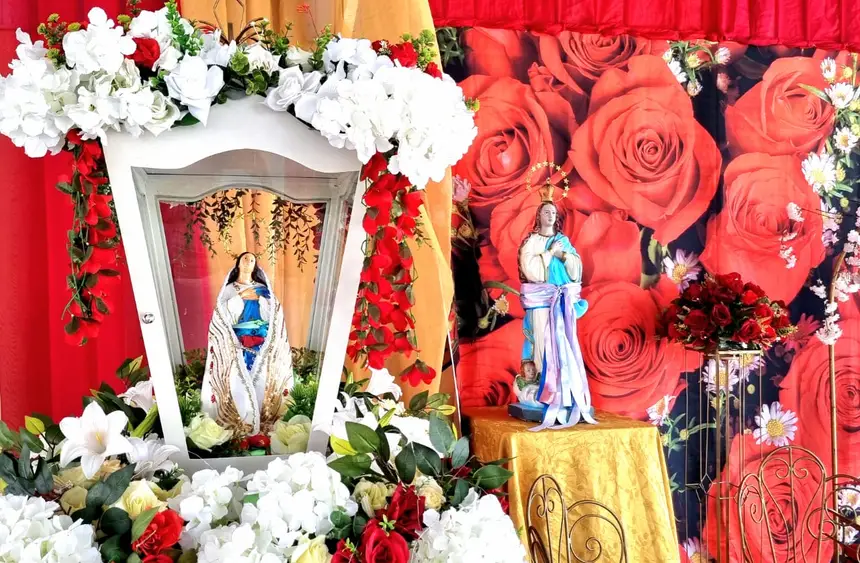  <div class='credito_fotos'>Foto: Márcia do Carmo/GEA   |   <a href='/midias/2025/originais/20251209101522-GF00016762-F00211933.webp' download><i class='fa-solid fa-download'></i> Download</a></div>