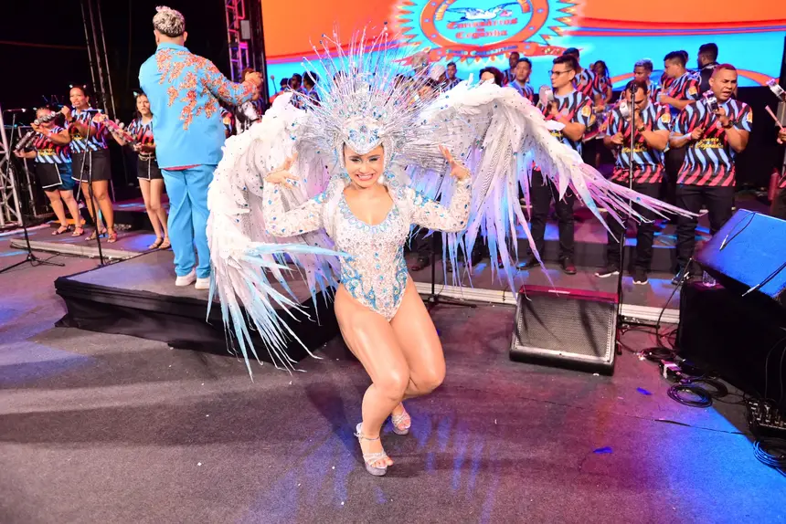 Emissários da Cegonha