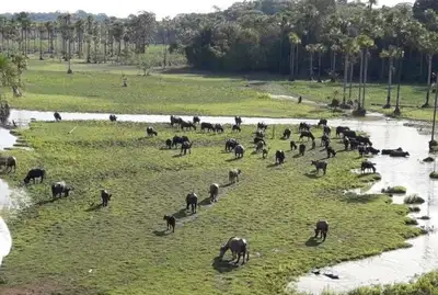 notícia: Governo do Amapá apresenta resultados da 1ª Campanha de Atualização Cadastral das propriedades rurais 