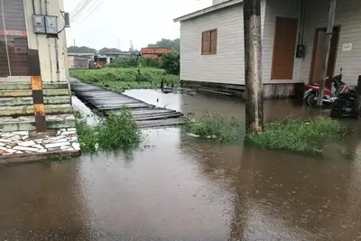 notícia: Governo do Amapá reforça orientações sobre cuidados com a saúde durante período chuvoso