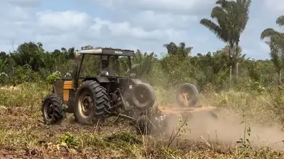 notícia: Balanço 2024: Governo do Amapá investiu mais de R$ 30 milhões em programas da agricultura familiar e escoamento da produção agrícola  