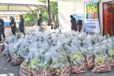 notícia: Amapá Sem Fome: mais de 300 famílias recebem kits de alimentos da agricultura familiar pelo Governo do Estado e Conab