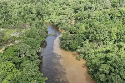 notícia: Governo do Amapá divulga resultado da qualidade da água após rompimento de barreira em garimpo ilegal, no Rio Cupixi