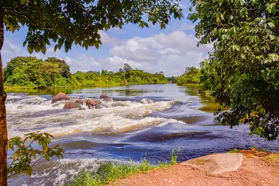 notícia: Amapá debate avanços e políticas públicas para o meio ambiente em Fórum Nacional de Secretários, em Macapá