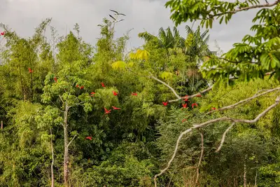 notícia: Governo do Estado realiza 5ª Conferência Estadual do Meio Ambiente, em Macapá; confira a programação