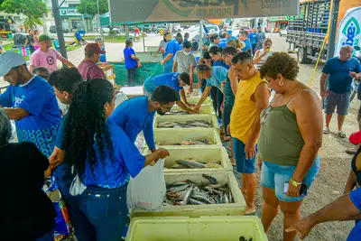 notícia: Peixe Popular: Governo do Amapá organiza programação com cerca de 130 toneladas de pescado para a Semana Santa 