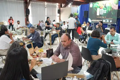 notícia: Inova Amazônia Summit: rodadas de negócios impulsionam a geração de investimentos voltados à bioeconomia no Amapá