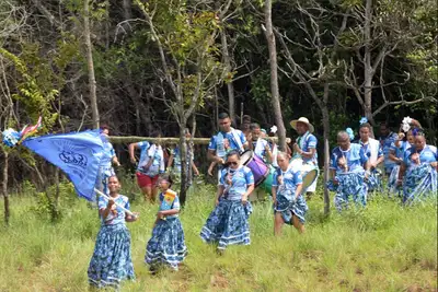 notícia: Ciclo do Marabaixo 2025: retirada dos mastros nas matas do Curiaú marca um dos pontos altos da tradicional programação no Amapá