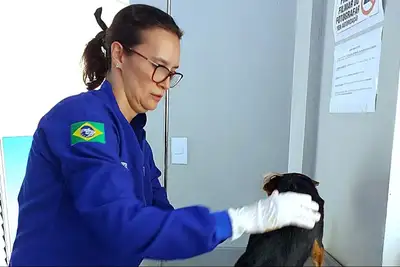 Crédito: Divulgação PCA