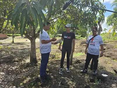 notícia: Agamis de Oiapoque contratados pelo Governo do Amapá são linha de frente no combate à praga da mandioca nas terras indígenas da região