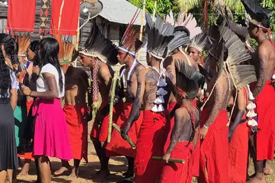 notícia: Dança do Turé abre a 15ª Assembleia Geral do Conselho de Caciques na aldeia Açaizal em Oiapoque
