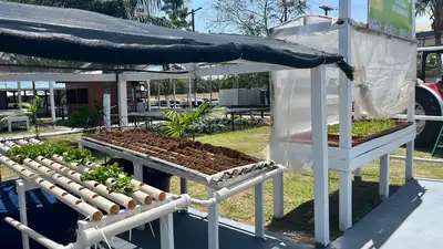 notícia: Governo do Estado apresenta sistema de cultivo inovador na 54ª Expofeira do Amapá