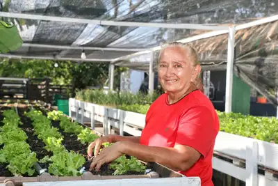 galeria: 54ª Expofeira do Amapá - Vitrine Amapá Produtivo - Frutas e Hortaliças (Pitaia)