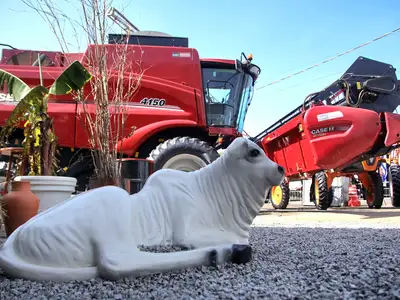 galeria: 54ª Expofeira - Espaço Maquinas Agro