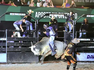 galeria: 54ª Expofeira - Rodeio Estadual