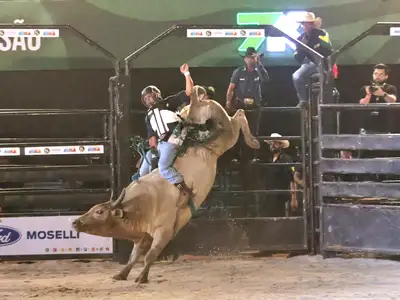 notícia: Emoção e tradição marcam início da etapa nacional do rodeio na 54ª Expofeira do Amapá nesta quinta-feira, 4