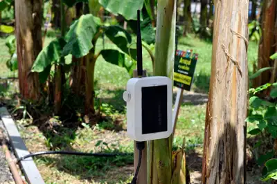 notícia: Desenvolvimento rural: 'Você Agro' apresenta soluções inovadoras para o campo na 54ª Expofeira do Amapá
