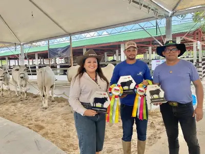 notícia:  54ª Expofeira do Amapá premia animais de alto padrão genético e fortalece a pecuária do estado