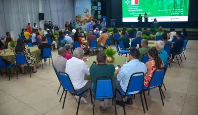 notícia: Governo do Estado apresenta iniciativa para fortalecer o setor de madeira e móveis com manejo florestal sustentável