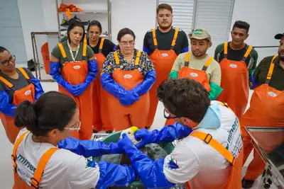 notícia: Capacitação técnica reforça atuação da Sema em respostas de emergências ambientais na Margem Equatorial do Amapá