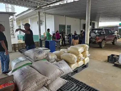 notícia: Governo do Amapá garante flexibilização no trânsito da macaxeira e reforça apoio aos agricultores