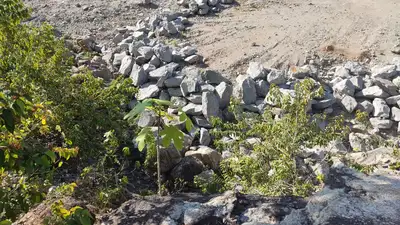 notícia: Governo do Amapá discute modelo de pequena mineração sustentável para o Distrito do Lourenço, em Calçoene