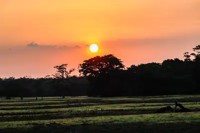 galeria: Paisagens e Pontos Turísticos no Amapá
