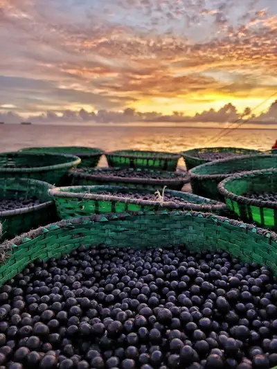 galeria: Paisagens e Pontos Turísticos no Amapá