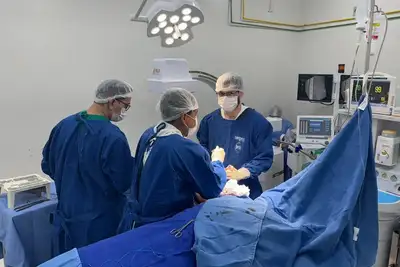 notícia: Governo do Amapá supera 7,6 mil cirurgias com o Programa Zera Fila e fecha outubro com recorde de procedimentos no Hospital de Clínicas Alberto Lima