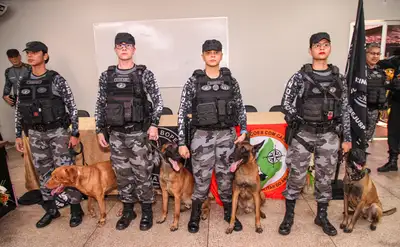 notícia: Governo do Amapá inicia primeira capacitação de profissionais para uso de cães em operações de segurança