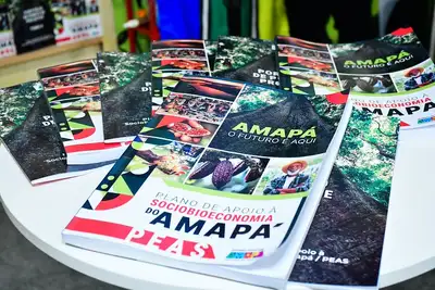notícia: Governo do Amapá lança Plano Estadual de Apoio à Sociobioeconomia durante o segundo dia da COP30