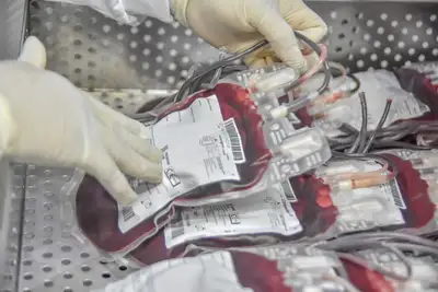 notícia: Governo do Amapá realiza evento de reconhecimento aos parceiros das campanhas de doação de sangue