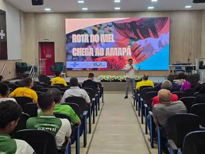 notícia: Apicultores do Amapá ampliam produção de mel após receber kits do Governo do Estado