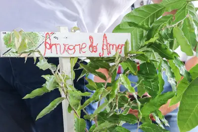 galeria: Lançamento do Grupo de Trabalho para Elaboração do Plano Estadual de Arborização Urbana