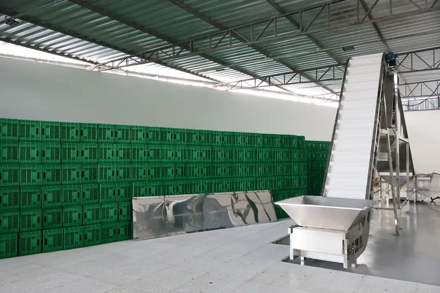  <div class='credito_fotos'>Foto: Nayana Magalhães/GEA &nbsp;&nbsp;|&nbsp;&nbsp; <a href='/midias/2026/originais/20260121090534-GF00016882-F00215482.webp' download><i class='fa-solid fa-download'></i> Download</a></div>