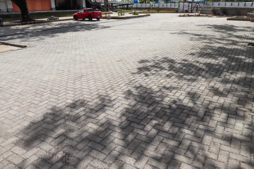  <div class='credito_fotos'>Foto: Adriano Monteiro/GEA &nbsp;&nbsp;|&nbsp;&nbsp; <a href='/midias/2026/originais/20260122083648-GF00016886-F00215594.webp' download><i class='fa-solid fa-download'></i> Download</a></div>