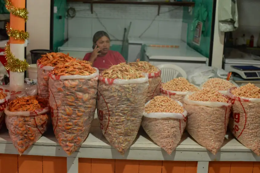  <div class='credito_fotos'>Foto: Gabriel Penha/Secom Gea &nbsp;&nbsp;|&nbsp;&nbsp; <a href='/midias/2026/originais/20260129115418-GF00016903-F00215978.webp' download><i class='fa-solid fa-download'></i> Download</a></div>