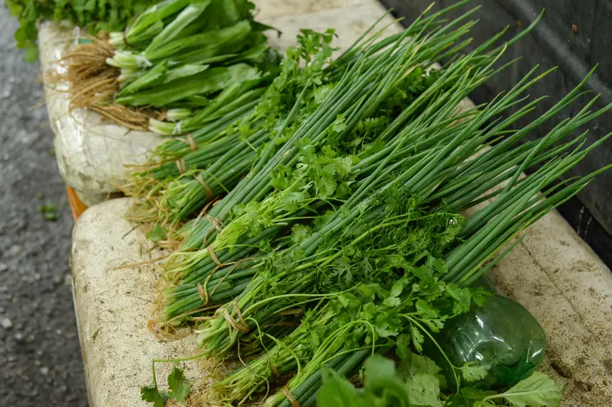  <div class='credito_fotos'>Foto: Gabriel Penha/Secom Gea &nbsp;&nbsp;|&nbsp;&nbsp; <a href='/midias/2026/originais/20260129115420-GF00016903-F00215980.webp' download><i class='fa-solid fa-download'></i> Download</a></div>