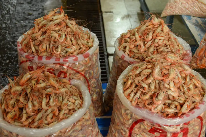  <div class='credito_fotos'>Foto: Gabriel Penha/Secom Gea &nbsp;&nbsp;|&nbsp;&nbsp; <a href='/midias/2026/originais/20260129115422-GF00016903-F00215983.webp' download><i class='fa-solid fa-download'></i> Download</a></div>