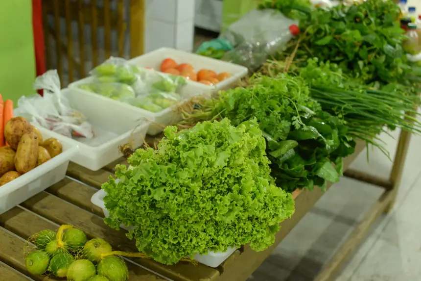  <div class='credito_fotos'>Foto: Gabriel Penha/Secom Gea &nbsp;&nbsp;|&nbsp;&nbsp; <a href='/midias/2026/originais/20260129115426-GF00016903-F00215988.webp' download><i class='fa-solid fa-download'></i> Download</a></div>